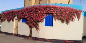 نمونه دیوار نگاری 1