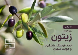 زیتون و نقش آن در برندینگ شهری